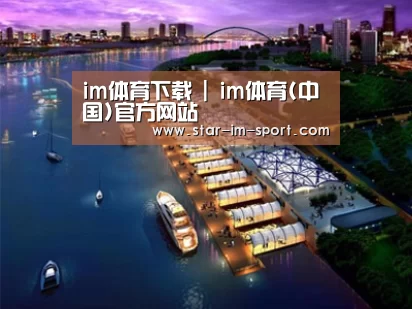 案例展示八