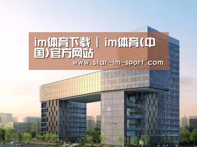 案例展示四