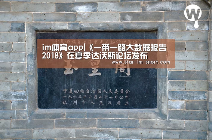 im体育app|《一带一路大数据报告2018》在夏季达沃斯论坛发布(图1) im体育官网