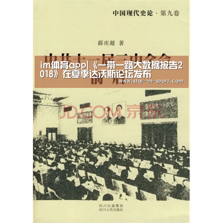 im体育app|《一带一路大数据报告2018》在夏季达沃斯论坛发布(图3) im体育下载