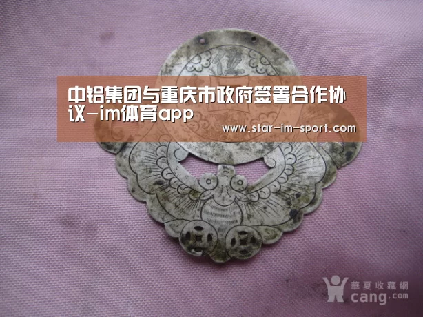 中铝集团与重庆市政府签署合作协议-im体育app(图1) im体育官网