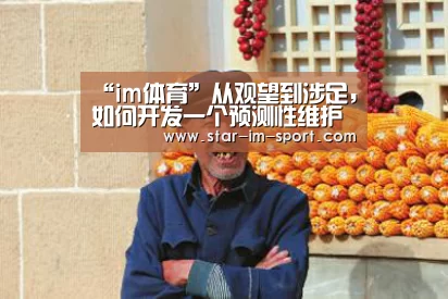 “im体育”从观望到涉足,如何开发一个预测性维护系统?(图3) im体育