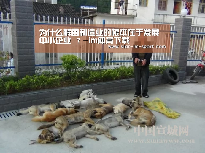 为什么解困制造业的根本在于发展中小企业 ?-im体育下载(图4) im体育