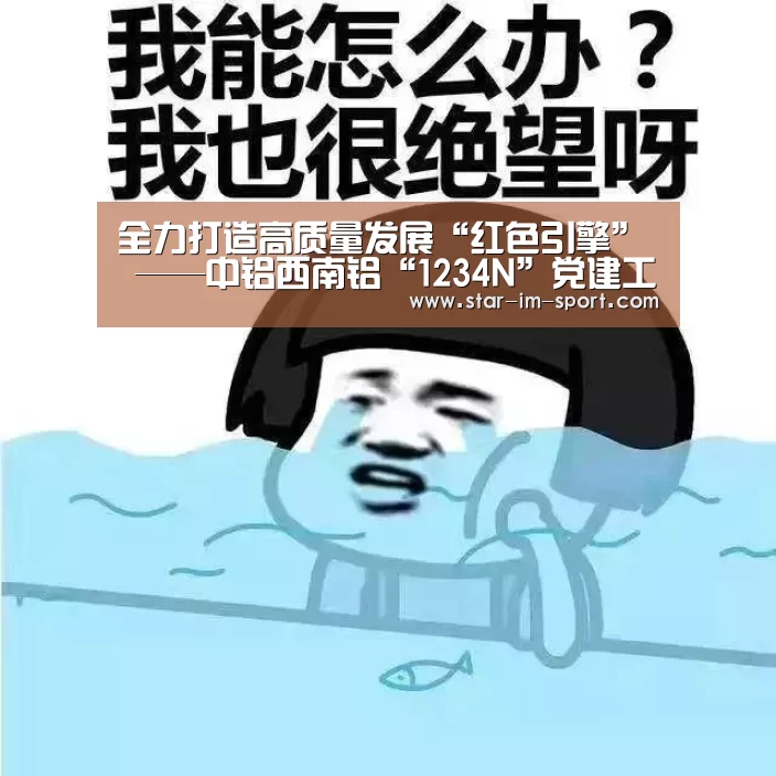 全力打造高质量发展“红色引擎” ——中铝西南铝“1234N”党建工作体系解读‘im体育’(图1) im体育
