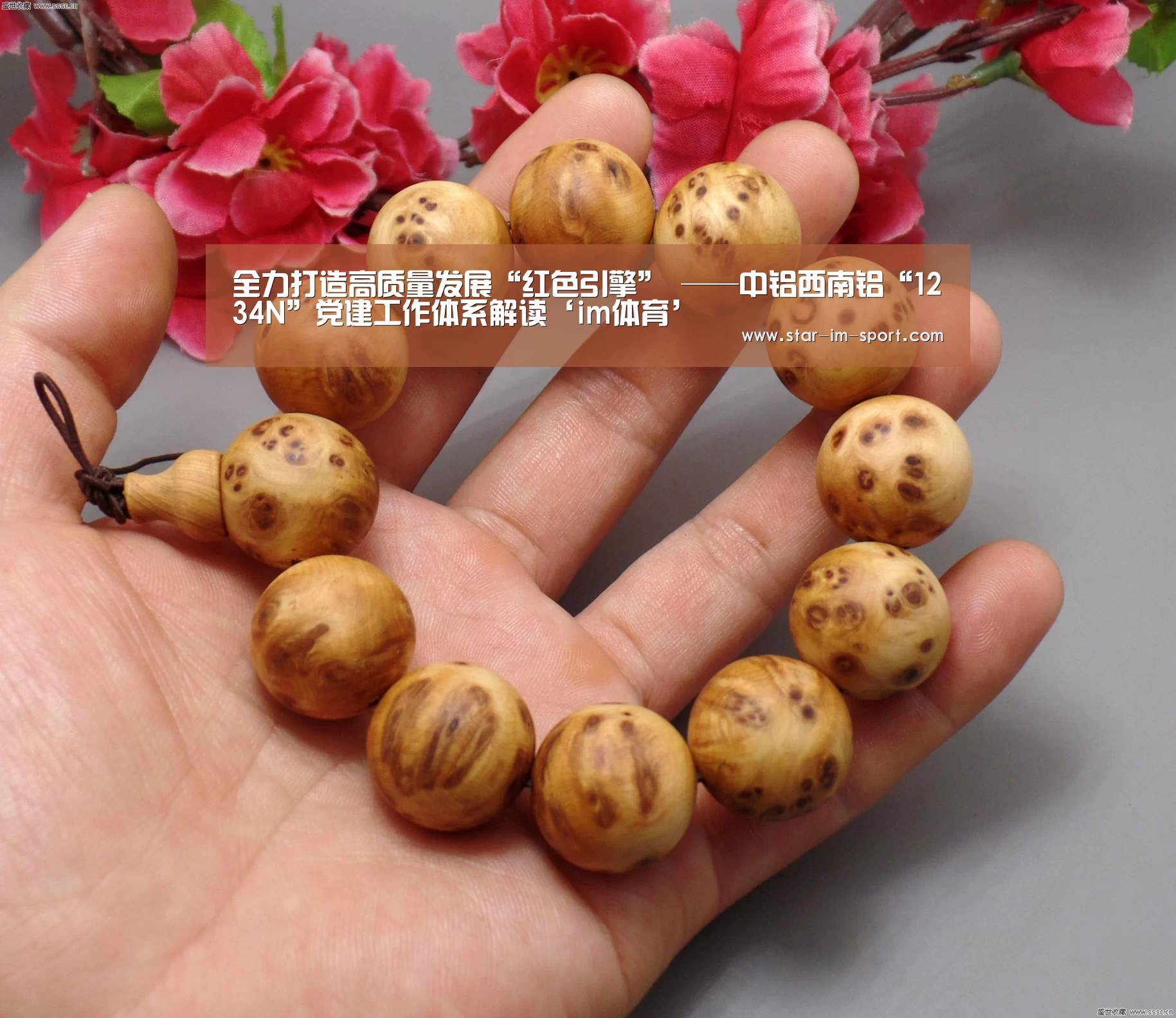 全力打造高质量发展“红色引擎” ——中铝西南铝“1234N”党建工作体系解读‘im体育’(图2) im体育官网