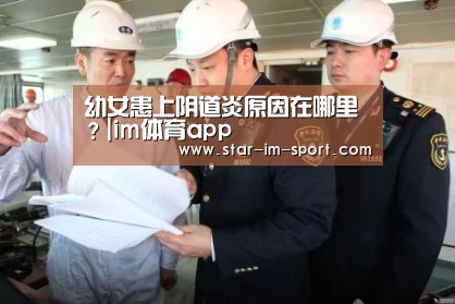 im体育下载