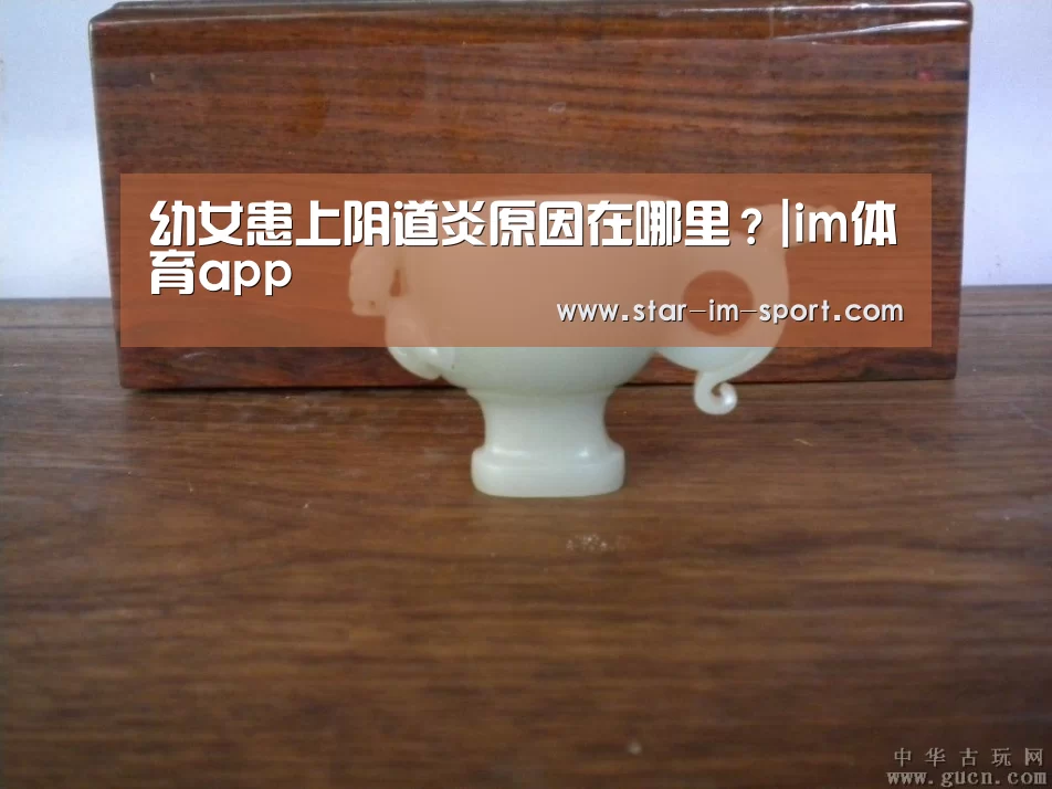 im体育app