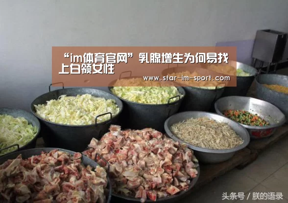 im体育下载